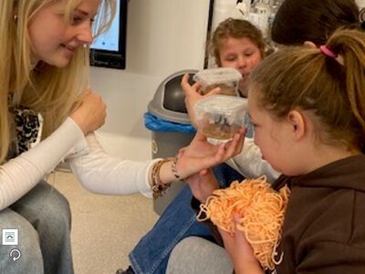 Klicken zum Vergrößern Klicken zum Vergrößern